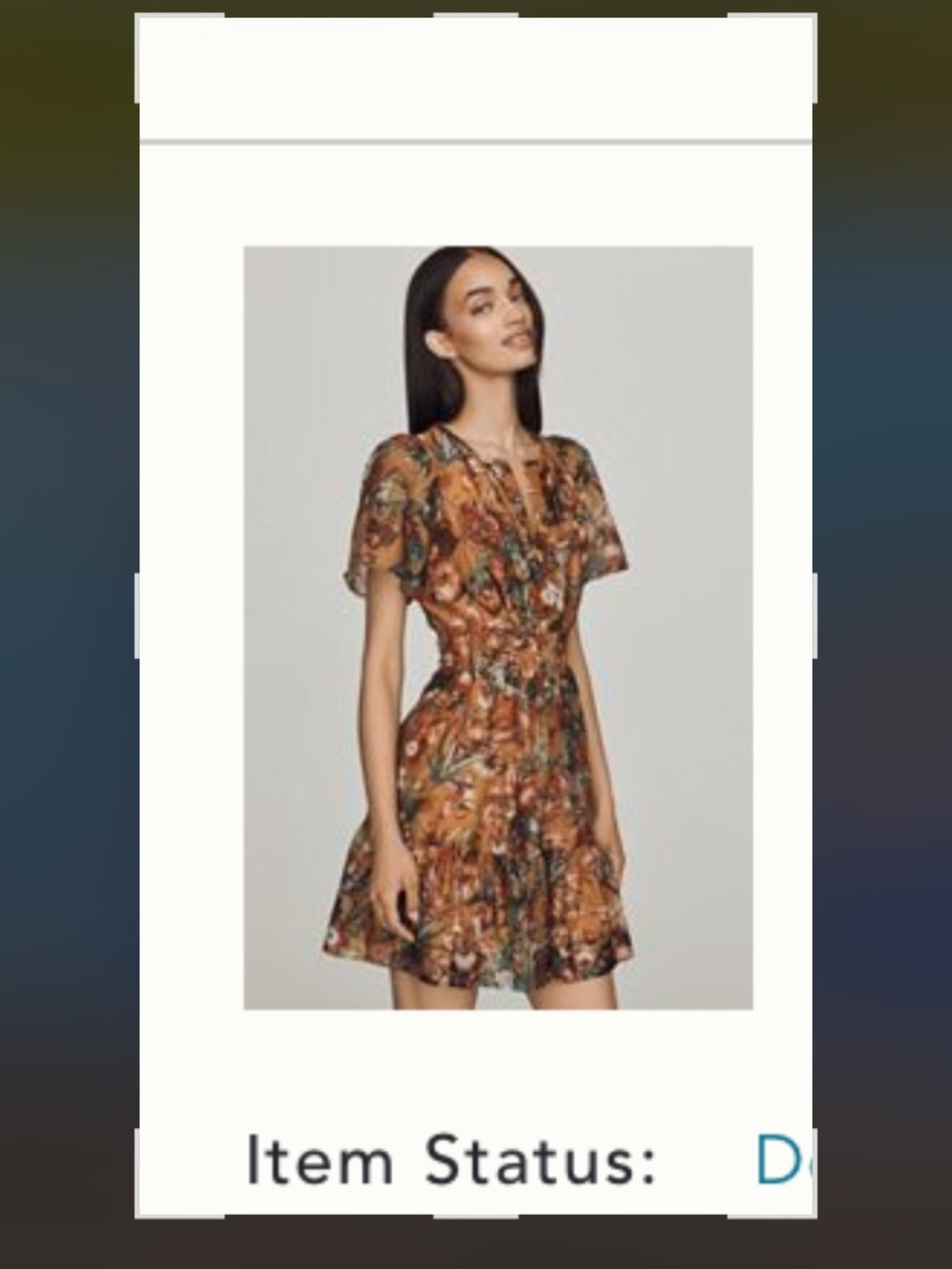 Anthropologie Floral Somerset Mini Dress